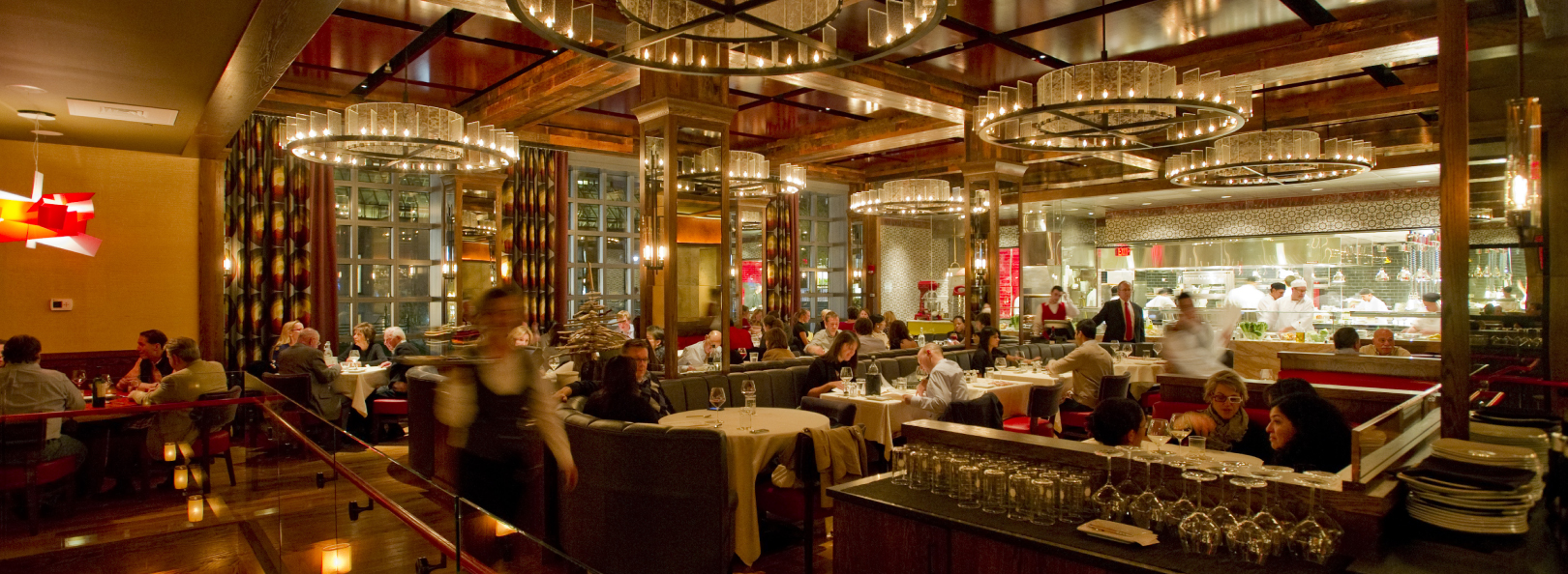 Dining room and bar interior